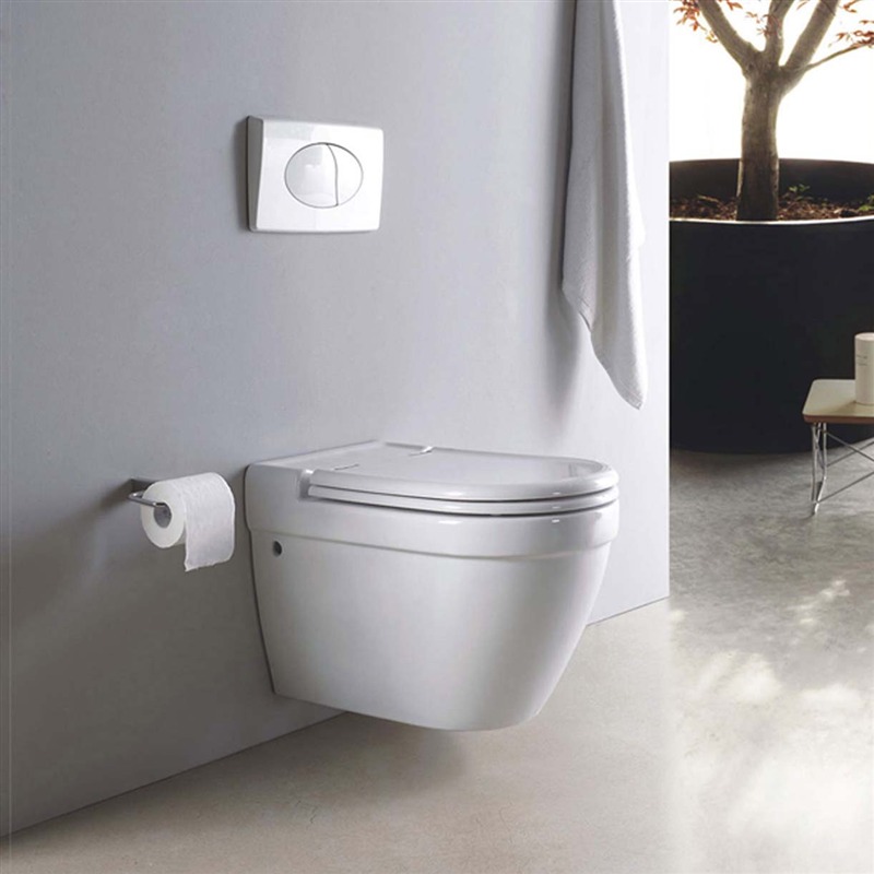 Wall Hung Toilet